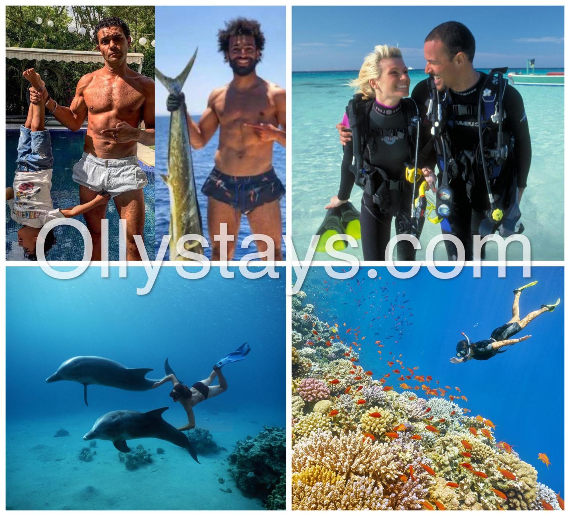 Ollystays Mangroovy 1 Bedroom Beach And Pool Free Access Hurghada Exteriör bild