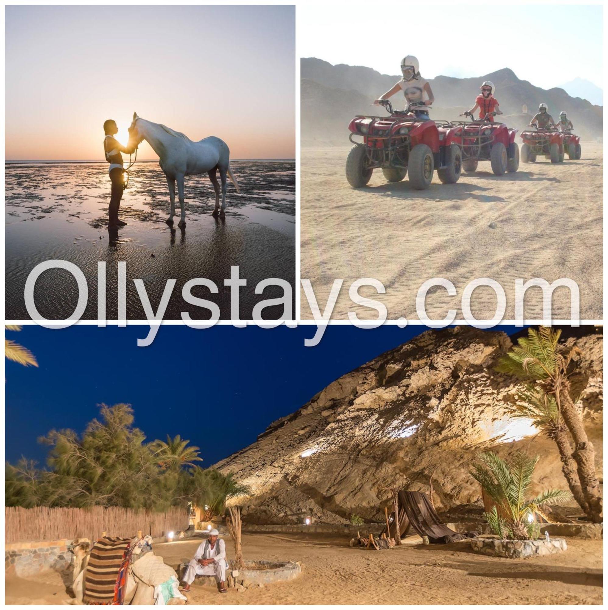 Ollystays Mangroovy 1 Bedroom Beach And Pool Free Access Hurghada Exteriör bild